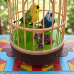 Кафез с пеещи птички – детска играчка