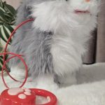 Ходещо куче с каишка
