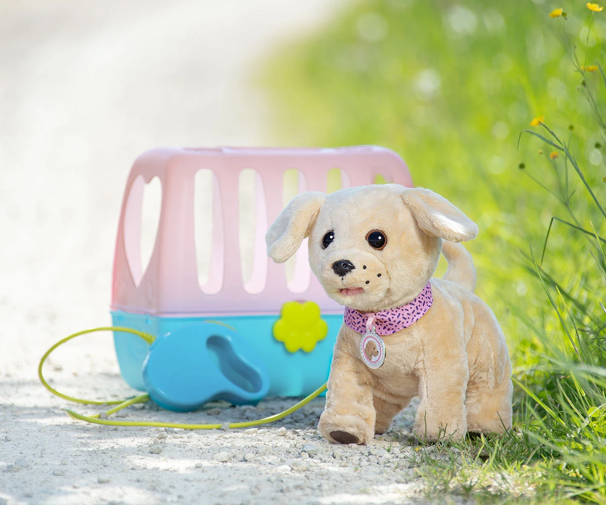 BABY born интерактивно кученце Лъки с къщичка Интерактивно кученце BABY born Лъки е очарователна детска играчка с реалистични движения и звуци, която лае, души, маха с опашка, пие истинска вода и дори вдига краче, за да пишка! Кученцето пристига със собствена преносима къщичка, повод за разходка, купичка за вода и кокалче. Представете си радостта на детето, когато изведе Лъки на разходка и чуе как той лае щастливо! А когато го погали по гръбчето, кученцето започва да маха с опашка и да издава реалистични звуци. Интерактивното кученце BABY born Лъки превръща всяка игра във вълнуващо преживяване с домашен любимец. Това е прекрасна детска играчка за момичета и момчета над 3 години и впечатляваща идея за подарък за Коледа, рожден ден, имен ден или специална изненада за малките любители на животните. Кученце BABY born Лъки – лае, пие вода и пишка като истинско! Мечтае ли вашето дете за собствено кученце? С BABY born My Dog Lucky то получава интерактивен приятел, който реагира на грижите му и предлага различни начини за забавление. Какво може кученцето Лъки? Лае щастливо – издава реалистични кучешки звуци. Души – пресъздава поведението на любопитно кученце. Маха с опашка – реагира, когато го погалите по гръбчето. Пие истинска вода – навежда главичка към купичката и издава звуци на пиене. Вдига краче и пишка – след като е пило вода. Дъвче кокалче – когато доближите кокала до устата му, се чуват забавни звуци. Има повод – за ролеви разходки с любимия домашен любимец. Има собствена преносима къщичка – за почивка, прибиране и пренасяне. Това не е обикновено плюшено куче! Лъки предлага реалистични функции, които насърчават детето да го храни, разхожда и да се грижи за него. Защо да купите интерактивно кученце BABY born Лъки? Някои деца мечтаят за домашен любимец, но семейството все още не е готово да отглежда истинско животно. Кученцето Лъки с преносима къщичка дава възможност на детето да пресъздава ежедневни грижи за куче по забавен и достъпен начин. 7 причини да изберете интерактивното куче Лъки Пие истинска вода. Една от най-впечатляващите му функции, която прави играта по-реалистична. Пишка след пиене. Детето може да пресъздава грижите за домашен любимец. Реагира на галене. Маха с опашка и издава звуци, когато получава внимание. Има повод за разходка. Малчуганът може да играе на стопанин на куче. Дъвче кокалче. Допълнителна интерактивна функция за разнообразни занимания. Има собствена къщичка. Удобна е за съхранение и пренасяне на кученцето. Познат е от телевизионната реклама. Моделът е представян като телевизионно рекламирана детска играчка от серията BABY born. Търсите интерактивно кученце, което пие вода, пишка и лае? Лъки е чудесен избор за дете, което обича животните и ролевите игри. Как интерактивното кученце с повод подпомага развитието на детето? Насърчава грижовност и съпричастност Докато храни, разхожда и гали Лъки, детето пресъздава ежедневните грижи за домашен любимец. Тези занимания дават възможност за разговори за нежното отношение към животните и отговорностите на техните стопани. Развива въображението Днес Лъки може да отиде на разходка. Утре да посети ветеринарен лекар, а след това да се върне в своята къщичка за почивка. Детето само измисля приключенията и създава собствени истории. Подпомага координацията Използването на повода, купичката за вода и кокалчето упражнява движенията на ръцете и координацията между очите и ръцете. Развива речта и общуването Когато детето говори на кученцето, дава му команди или разказва истории за него, то упражнява езиковите си умения. Насърчава наблюдателността Лъки реагира по различен начин при галене, хранене и разходка. Детето може да открива връзката между своите действия и реакциите на играчката. Играчките не правят децата ни по-послушни. Те им дават пространство да бъдат себе си, да откриват света и да се развиват чрез игра. BABY born Лъки от телевизионната реклама – коледен подарък с истинска изненада Представете си коледната сутрин! Под елхата детето открива кученце със собствена къщичка. Поставя му повода, извежда го на разходка и чува първото щастливо лаене! След това му предлага вода. Лъки навежда главичката си и започва да пие, а след малко вдига краче, за да пишка! Точно тези реалистични функции превръщат BABY born Лъки в специален подарък. Кученцето е прекрасна идея за: Коледен подарък за 3-годишно дете. Подарък за рожден ден на 4-годишно момиче. Изненада за 5-годишно дете. Подарък за момче или момиче на 6 години. Подарък за 7-годишно дете, което обича животните. Подарък за имен ден. Специална изненада от баба и дядо. Подарък за дете, което мечтае за собствено кученце. Подарете приятел, който лае, маха с опашка и очаква някой да се грижи за него! Как се играе с BABY born My Dog Lucky? След поставяне на необходимите батерии според инструкциите на производителя детето може да започне играта. Поставете повода и изведете Лъки на въображаема разходка. Погалете го по гръбчето, за да чуете реалистичните звуци и да наблюдавате как маха с опашка. Предложете му вода в купичката. Кученцето навежда главичка, изплезва езиче и започва да пие. След като пие достатъчно, Лъки може да вдигне краче, за да пишка. Доближете кокалчето до устата му и чуйте как дъвче! Когато приключи играта, кученцето може да си почине в собствената преносима къщичка. Едно кученце – множество възможности за игри, грижи и забавления! Какво включва комплектът BABY born Лъки? 1 интерактивно кученце Лъки. 1 преносима къщичка. 1 повод за разходка. 1 купичка за вода. 1 кокалче. Важно: Кученцето работи с 4 батерии AAA, които не са включени в комплекта. Технически характеристики на интерактивно кученце BABY born Лъки Марка: BABY born Производител: Zapf Creation Модел: My Dog Lucky with Box Фабричен номер: 835869 Продуктов код: 790179 Баркод: 4001167835869 Вид: Интерактивна играчка кученце с движения и звуци Материал: Текстилно покритие и пластмасови функционални елементи Възраст: 3+ години Препоръчителна възрастова група: 3–7 години Функции: Лаене, душене, махане с опашка, пиене на вода, пишкане и звуци на дъвчене Аксесоари: Повод, купичка, кокал и преносима къщичка Захранване: 4 батерии AAA Батерии в комплекта: Не са включени Тегло с опаковката: 0,79 кг Опаковка: 100% без пластмаса Употреба: На закрито Телевизионна реклама: Да Предупреждение: Не е подходящо за деца под 3 години Често задавани въпроси за кученцето BABY born Лъки Кученцето Лъки пие ли истинска вода? Да! Лъки може да пие истинска вода от включената купичка, като навежда главичка и издава звуци на пиене. Може ли кученцето да пишка? Да. След като пие достатъчно вода, Лъки вдига краче, за да пишка. Лъки лае ли? Да. Кученцето издава реалистични звуци, включително лай и душене. Как реагира при галене? Когато го погалите по гръбчето, Лъки маха с опашка и издава звуци. Има ли включен повод? Да. Комплектът включва повод за разходки и ролеви игри. Какво представлява преносимата къщичка? Това е собствената къщичка на Лъки, която може да се използва за почивка, съхранение и пренасяне. Включени ли са батериите? Не. За работа на играчката са необходими 4 батерии AAA. Подходящ ли е за подарък за 3, 4, 5 или 6-годишно дете? Да. Производителят препоръчва интерактивното кученце за деца над 3 години, като посочената възрастова група е 3–7 години. Къде да купя интерактивно кученце BABY born Лъки онлайн? В Онлайн магазин Мама&Бебе ще откриете богато разнообразие от детски играчки, интерактивни животни, кукли BABY born, дървени образователни комплекти и подаръци за Коледа, рожден ден и специални поводи. Ако търсите оригинално интерактивно кученце, играчка домашен любимец или подарък за дете, което обича животните, разгледайте нашите предложения. Предлагаме детски играчки и за детски градини и образователни организации. Издаваме фактури. За клиенти от гр. Раковски: Възможно е лично предаване след предварителна уговорка и потвърждение на наличността. За информация относно куриерските услуги на Еконт: https://www.econt.com Поръчайте BABY born кученце Лъки от Мама&Бебе! Лае, маха с опашка, пие истинска вода и дори пишка – запознайте се с Лъки! Подарете на детето интерактивен приятел, който ще вдъхновява истории за разходки, грижи и приключения. Добавете интерактивното кученце BABY born Лъки в количката и подарете радостта от собствен пухкав приятел! Онлайн магазин Мама&Бебе Поръчайте лесно и бързо: https://shopmamabebe.eu Телефон за поръчки: 0896944003 Последвайте ни във Facebook: https://www.facebook.com/mamaandbabystore Благодарим Ви, че избрахте Мама&Бебе! За нас всяка поръчка е специална, защото зад нея стои желанието да зарадвате едно дете. Ценим доверието Ви и се радваме да бъдем част от щастливите моменти на Вашето семейство. Очакваме Вашите поръчки и сме тук, за да Ви помогнем с всичко необходимо!